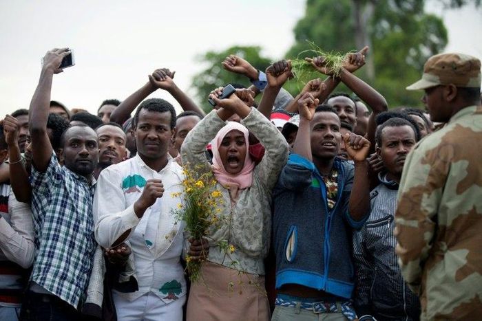 Ethiopian Prime Minister Hailemariam Desalegn declared a six-month state of emergency in October after months of anti-government protests in different parts of the country