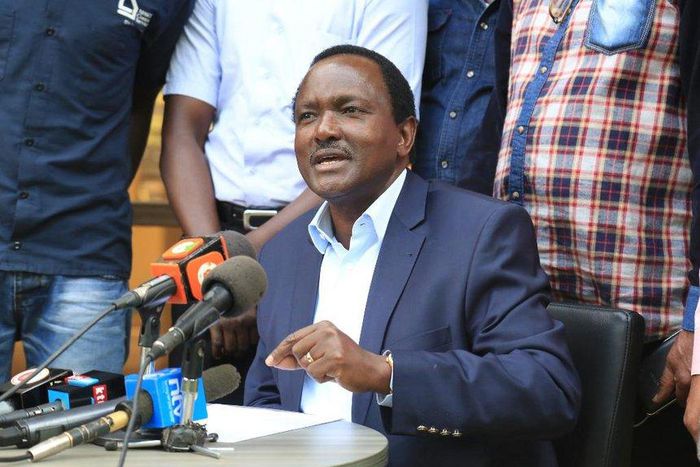 ___6437667___https:______static.pulse.com.gh___webservice___escenic___binary___6437667___2017___3___28___7___Wiper+leader+Kalonzo+Musyoka+speaking+to+the+press+earlier.