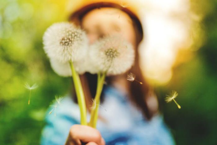 Remind Me: When Is Allergy Season?