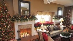 Christmas holiday