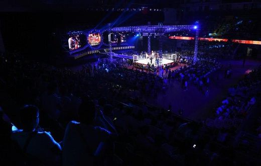 The world's biggest mixed martial arts organisation, the Las Vegas-based UFC, is now firmly fixed on the lucrative Chinese mainland