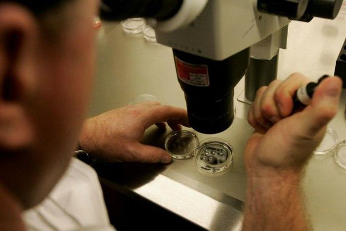 In a long-running lawsuit in Singapore that began in 2012, a woman sued a private hospital, its fertility clinic and two fertility doctors after she was inseminated with the wrong sperm