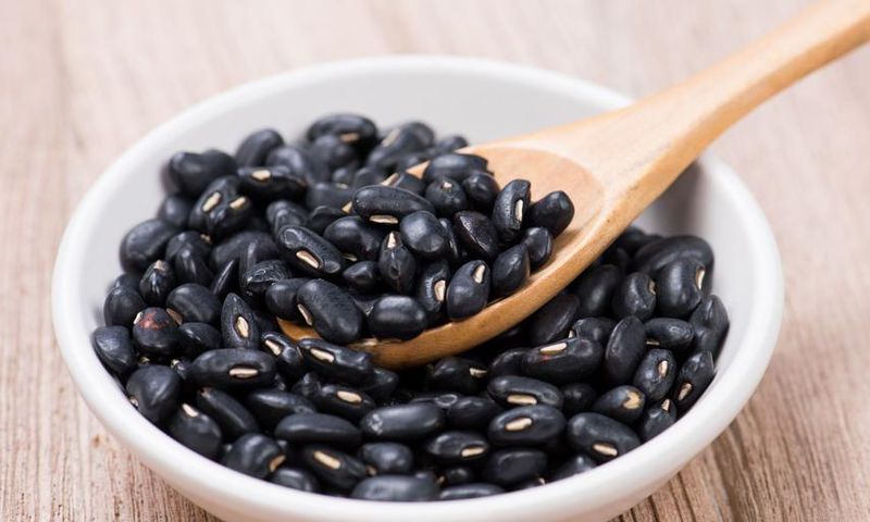 Are Black Beans Actually Healthy?