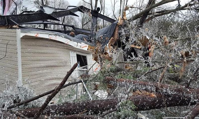 At least 14 dead in Alabama after tornadoes strike the Southeast, official says