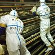 Japan's military is assissting in a second mass cull of poultry as the country suffers an avain flu outbreak