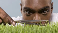 Perfectionist(everhelperblog)
