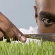 Perfectionist(everhelperblog)