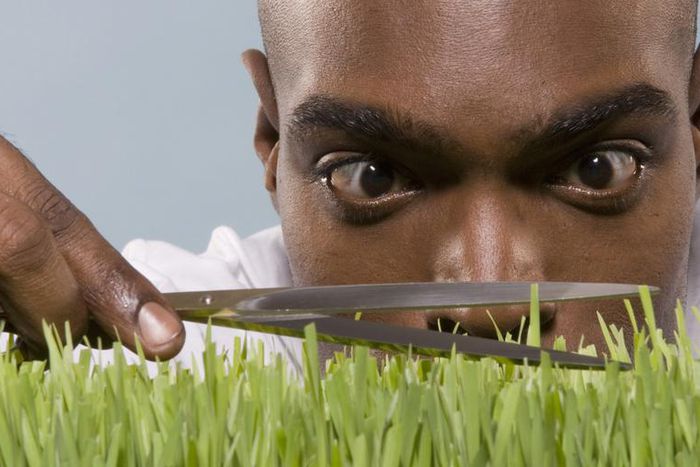 Perfectionist(everhelperblog)