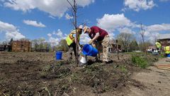 Free trees? Many Detroit residents say no thanks