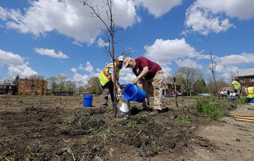 Free trees? Many Detroit residents say no thanks