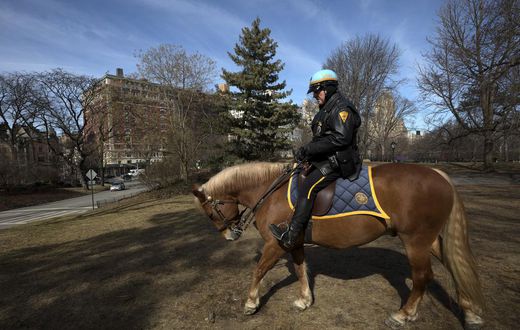 Central Park Detective Retires With the Horse He Rode in On
