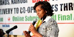 Commissioner for Co-operative Development Mary Mungai at a past function