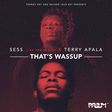 Sess featured Terry Apala on his new joint, 'That's wassup'.