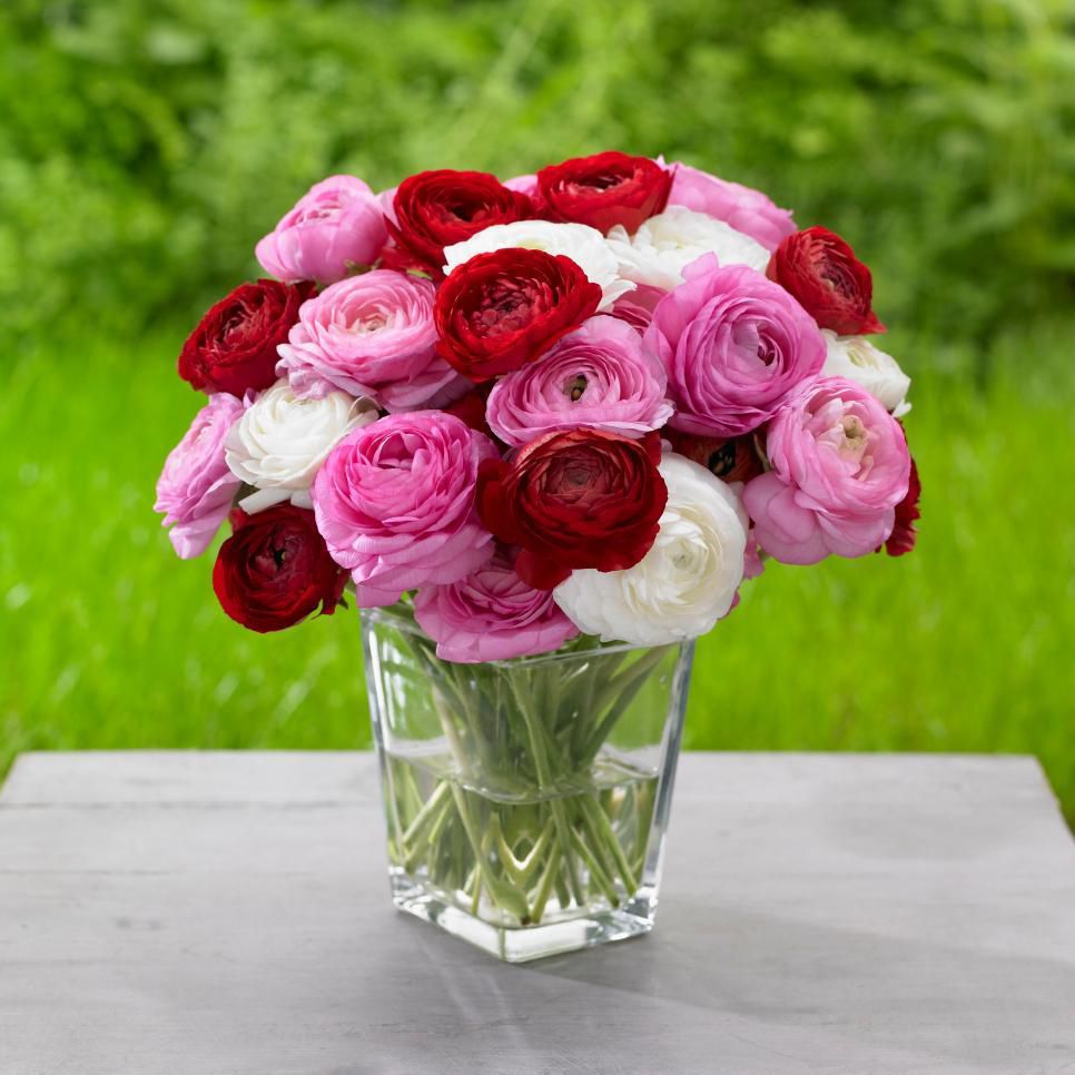 Roses (HGTV)
