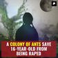 A Colony of Ants Save 16-year-old From Being Raped