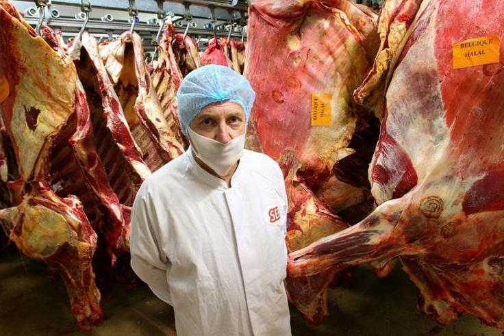 Patrice Monguillon, pictured in 2011 in front of beef carcasses and former managing director of Spanghero's site at Castelnaudary, southwestern France, faces up to ten years in jail with his three fellow accused