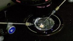 WHO panel demands a registry for human gene editing