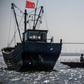 Qin Yusheng guides his mules between boats in the shallow waters of Xianrendao, in China's northeastern Liaoning province