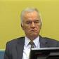 Former Serb army commander Ratko Mladic is pictured in a courtroom in The Hague on May 16, 2012
