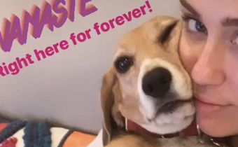 Miley Cyrus Posted A No-Makeup Instagram Selfie