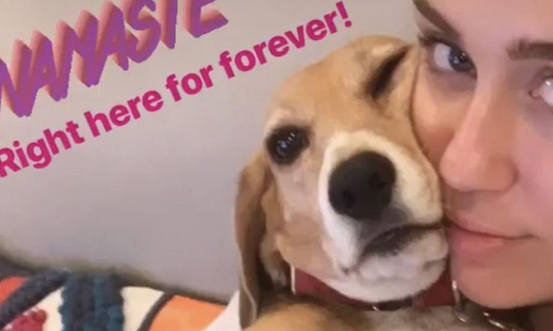 Miley Cyrus Posted A No-Makeup Instagram Selfie