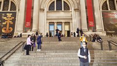 Met Admission Fees Will Send $2.8 Million to Over 175 City Cultural Groups