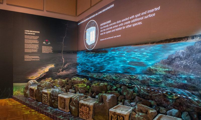 Can Art Help Save the Planet?
