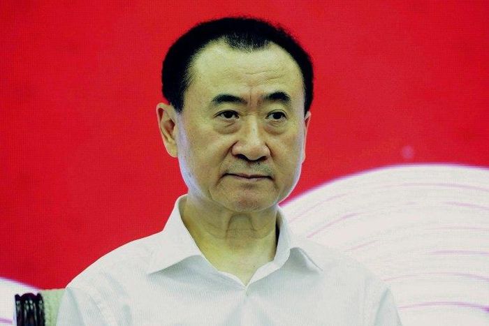 Chinese Hollywood investor Wang Jianlin joined a chorus of concern from the World Economic Forum in Davos over the protectionist leanings of the US president-elect Donald Trump