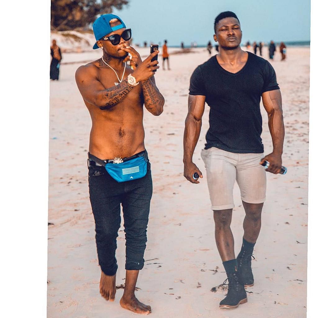 Harmonize (Instagram)