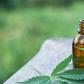Is Hemp Oil Beneficial?