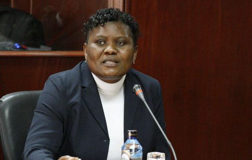 Justice Hedwig Ong’undi during a past meeting