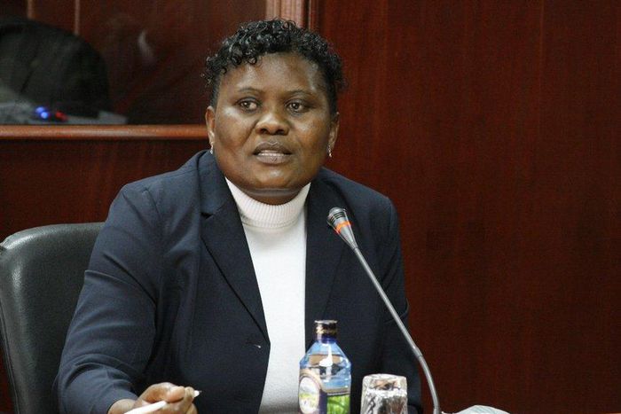 Justice Hedwig Ong’undi during a past meeting