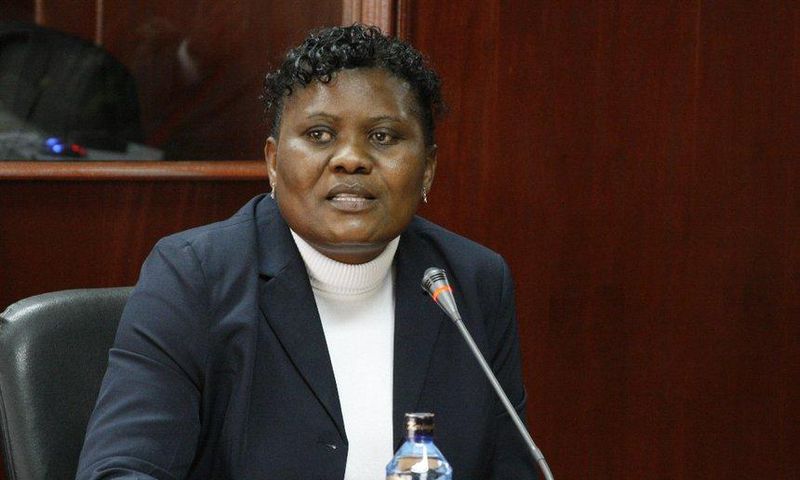Justice Hedwig Ong’undi during a past meeting