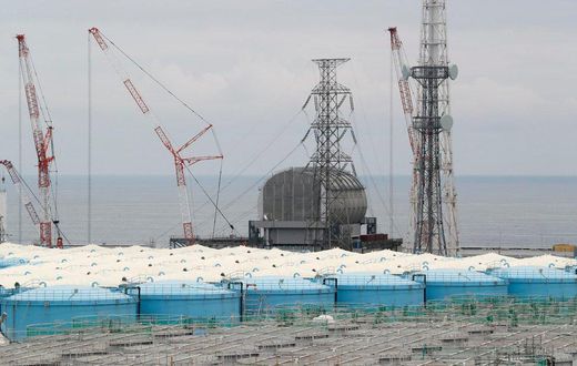 Removing fuel rods, Japan hits milestone in Fukushima nuclear cleanup