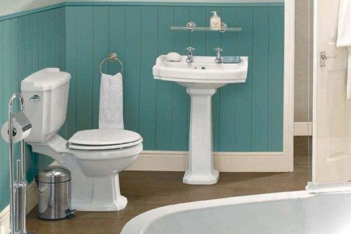 The toilet is not as dirty as we make it to be.