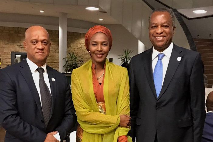 ___6138019___https:______static.pulse.com.gh___webservice___escenic___binary___6138019___2017___1___30___15___PIC.6.+28TH+AFRICAN+UNION+SUMMIT+IN+ADDIS+ABABA