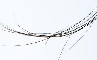What Exactly Are Rogue Hairs?