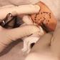 Dr. Pimple Popper's Latest Video Is Truly Vile