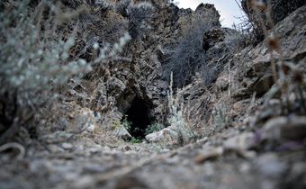 Saving the Bats, One Cave at a Time