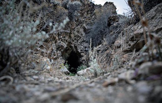 Saving the Bats, One Cave at a Time