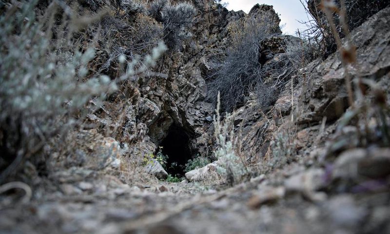Saving the Bats, One Cave at a Time