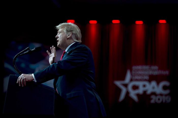 Trump Says He Will Sign Free Speech Order for College Campuses