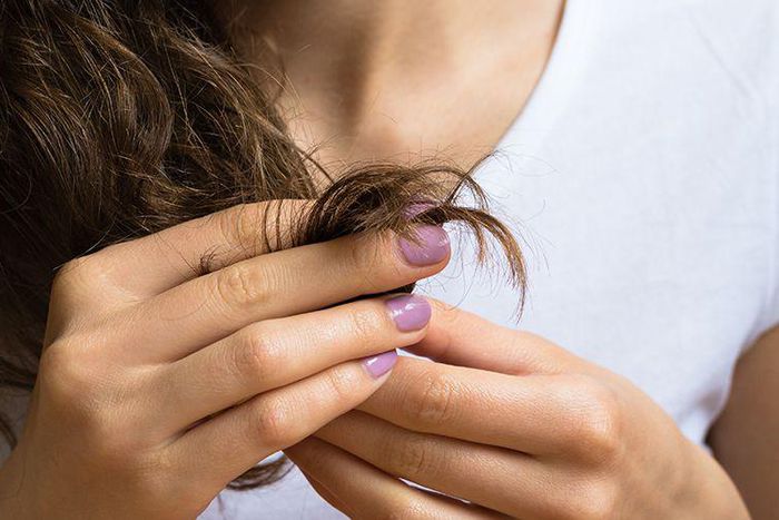 How To Repair Damaged Hair