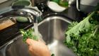 Will the Pesticides in Kale Hurt You?