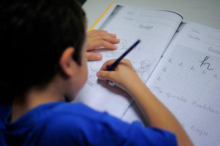 Parents in Spain have decided to go on strike against their offspring's school homework load