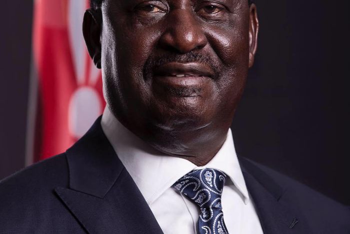 ___6762235___https:______static.pulse.com.gh___webservice___escenic___binary___6762235___2017___5___31___12___RAILA+AMOLO+ODINGA