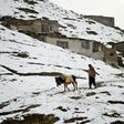 An Afghan man walks with a donkey as they head to collect water in Kabul, on January 27, 2017