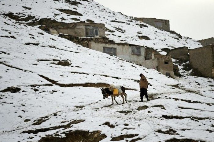 An Afghan man walks with a donkey as they head to collect water in Kabul, on January 27, 2017