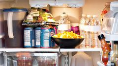 full fridge inside fridge