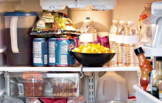 full fridge inside fridge